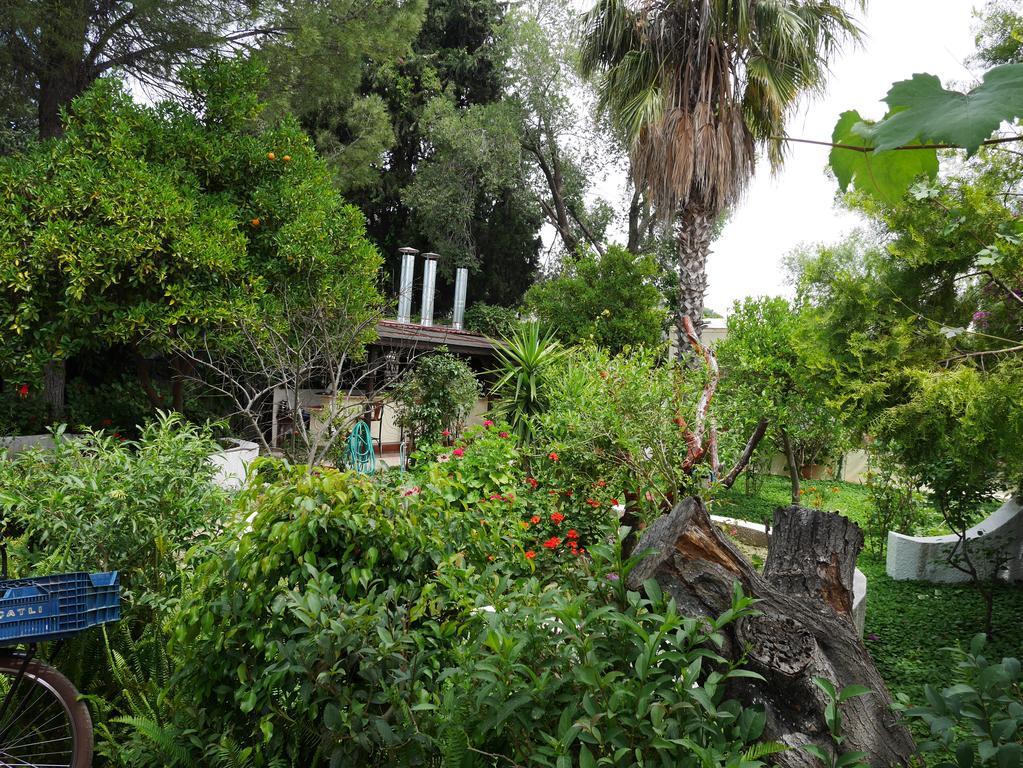 Longhouse Inn Hotel Dalyan Zewnętrze zdjęcie